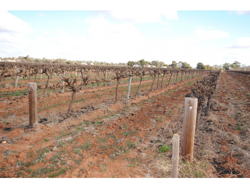 Farm 1561 Pratt Road, Yenda NSW 2681