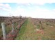 Farm 1561 Pratt Road, Yenda NSW 2681