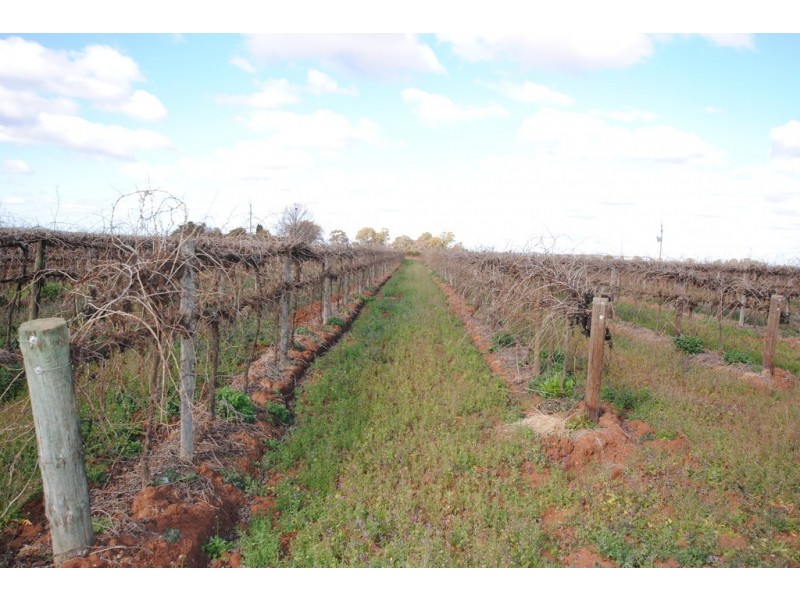 Farm 1561 Pratt Road, Yenda NSW 2681