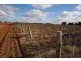 Farm 1561 Pratt Road, Yenda NSW 2681