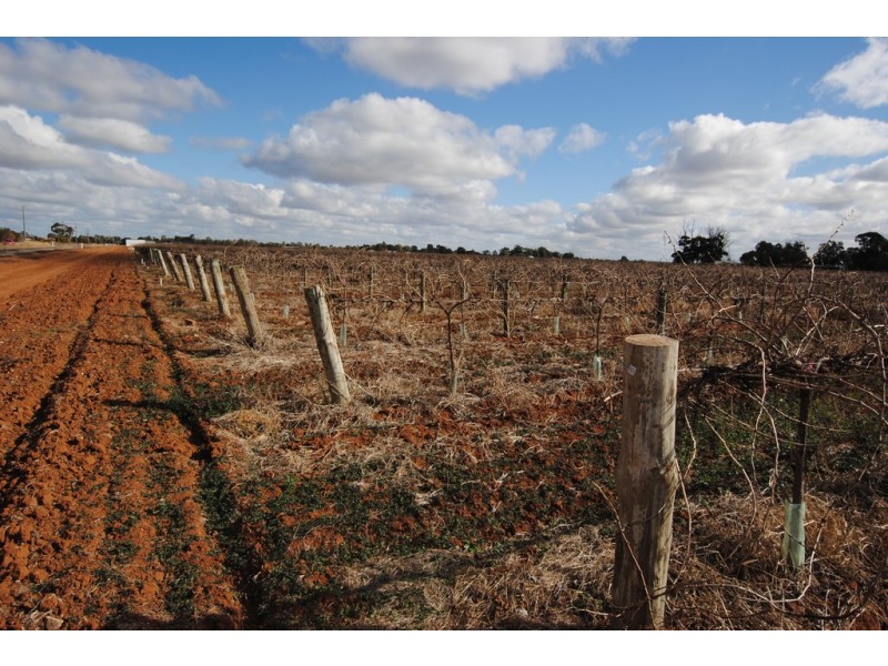 Farm 1561 Pratt Road, Yenda NSW 2681