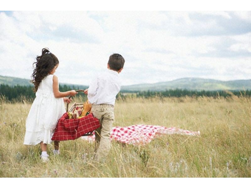 26 Mancini Drive, Lake Wyangan NSW 2680