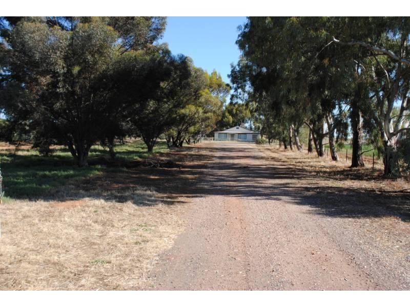 Farm 1615 Gribble Road, Yenda NSW 2681