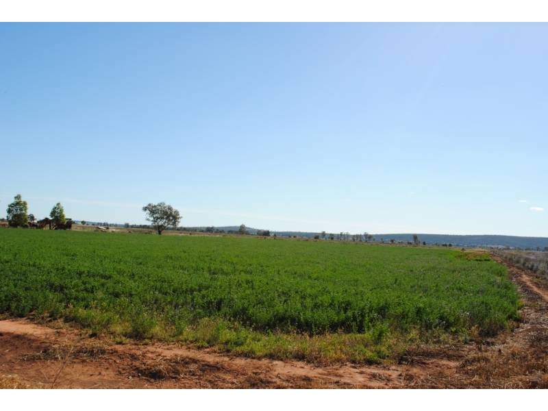 Farm 1615 Gribble Road, Yenda NSW 2681