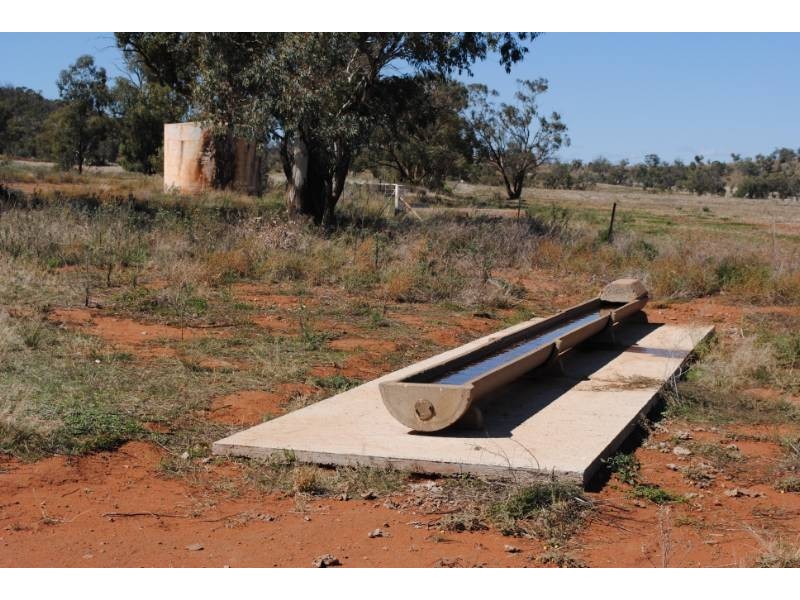 Kurrajong Park, Goolgowi NSW 2652