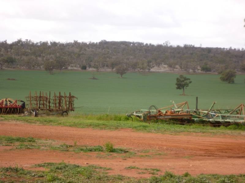 Kurrajong Park, Goolgowi NSW 2652