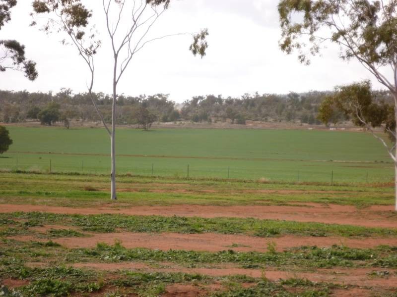 Kurrajong Park, Goolgowi NSW 2652