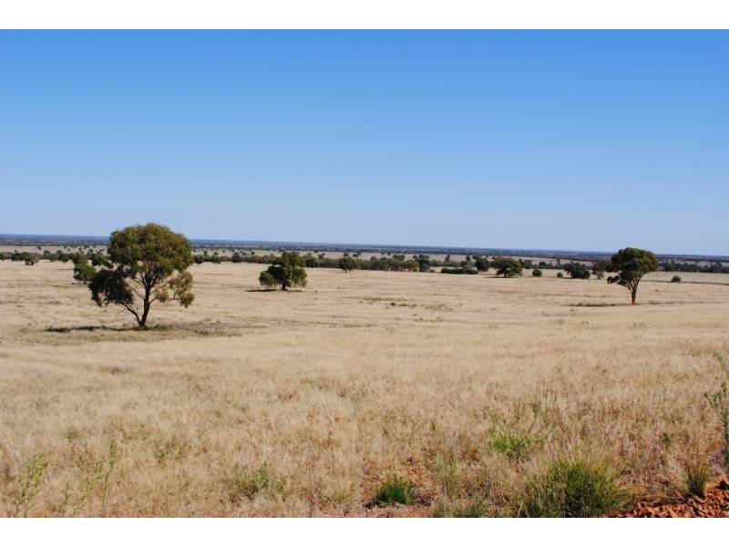 Kurrajong Park, Goolgowi NSW 2652