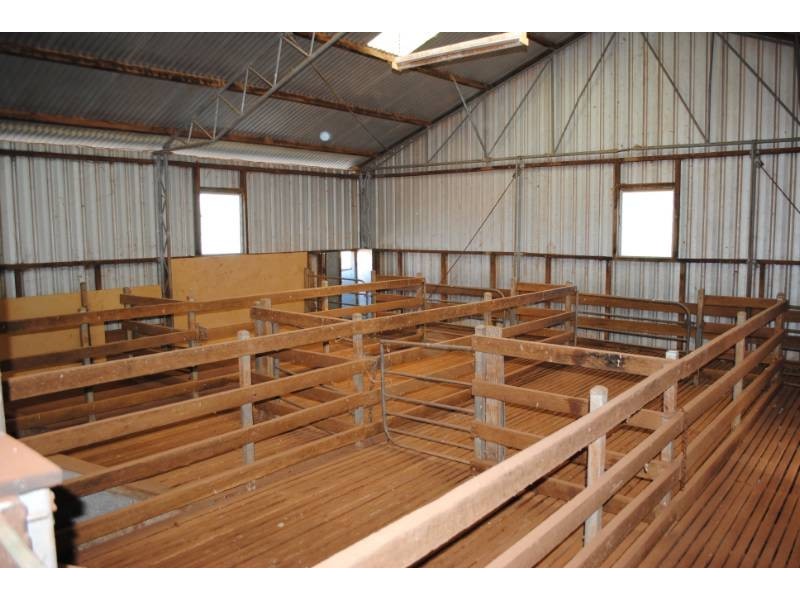 Kurrajong Park, Goolgowi NSW 2652