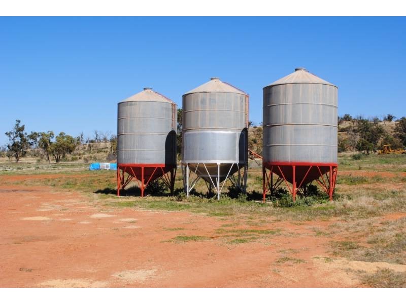 Kurrajong Park, Goolgowi NSW 2652