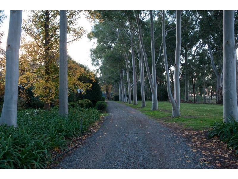 Farm 1773 Thompson Road, Stanbridge NSW 2705