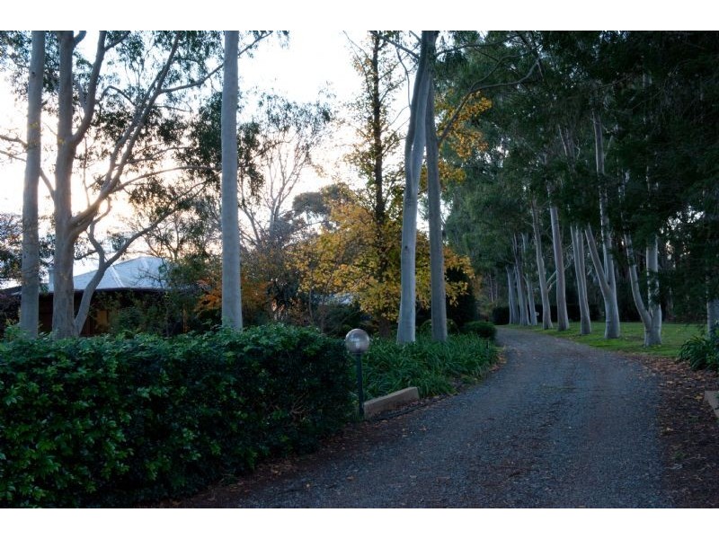 Farm 1773 Thompson Road, Stanbridge NSW 2705