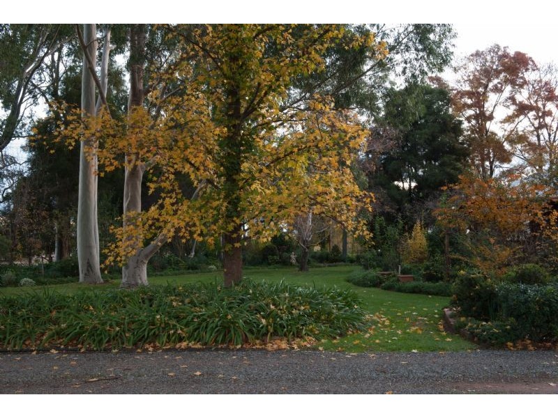 Farm 1773 Thompson Road, Stanbridge NSW 2705