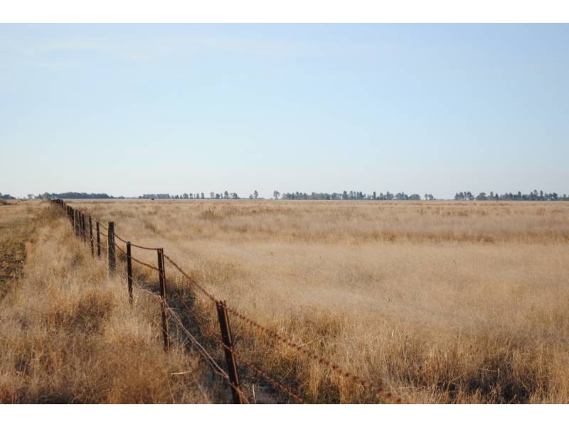 Barber Road, Benerembah NSW 2680