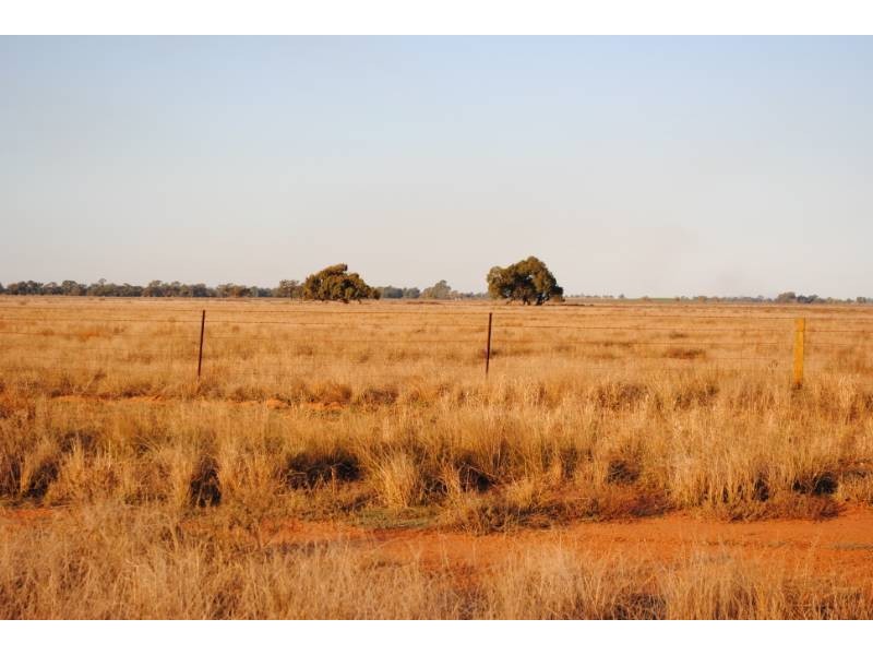 Barber Road, Benerembah NSW 2680