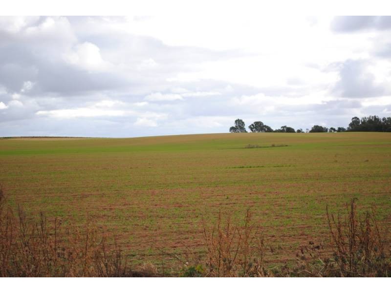 Farm 54 Dossetor Road, Benerembah NSW 2680