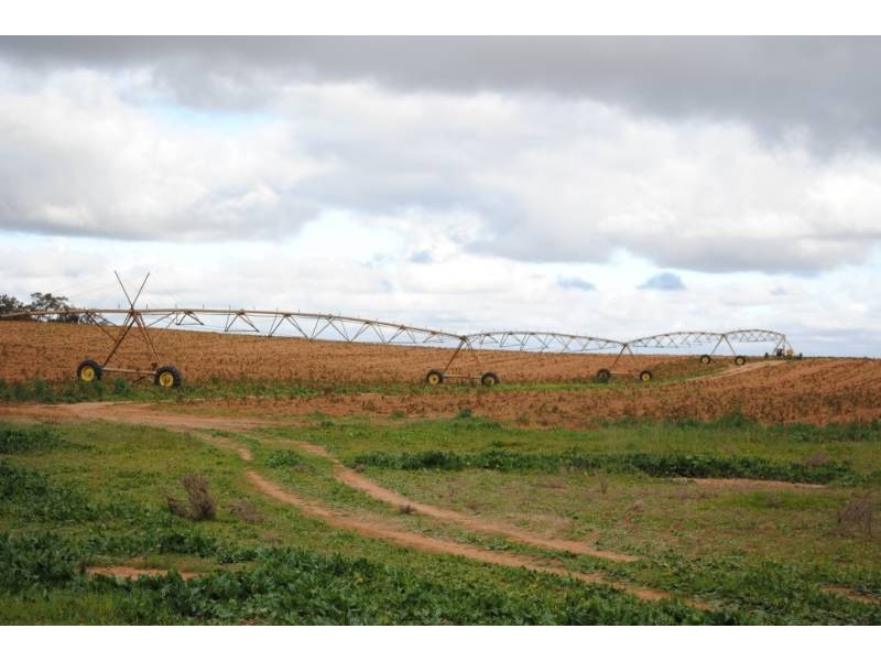 Farm 54 Dossetor Road, Benerembah NSW 2680