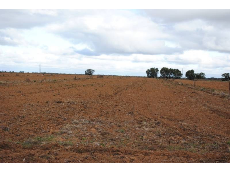 Farm 54 Dossetor Road, Benerembah NSW 2680