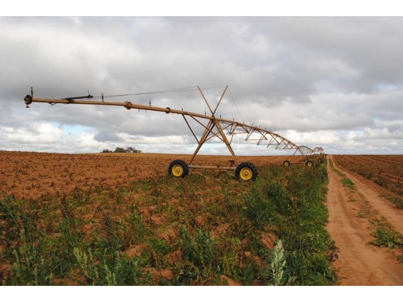 Farm 54 Dossetor Road, Benerembah NSW 2680