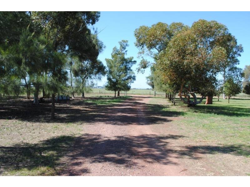 80 Calorafield Road, Murrami NSW 2705