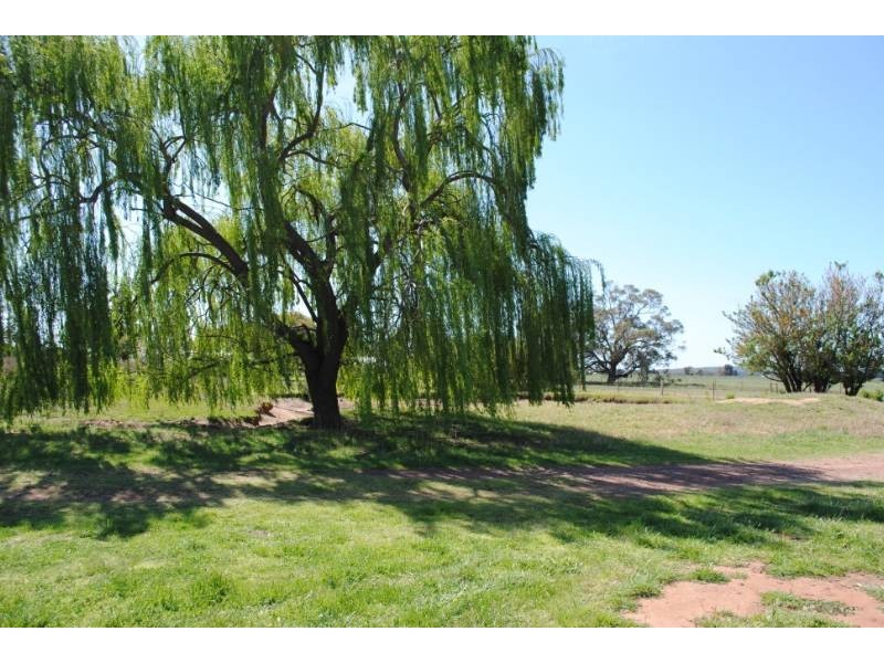 80 Calorafield Road, Murrami NSW 2705