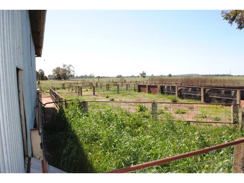 80 Calorafield Road, Murrami NSW 2705