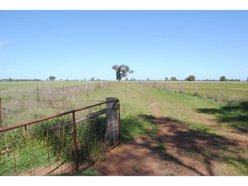 80 Calorafield Road, Murrami NSW 2705
