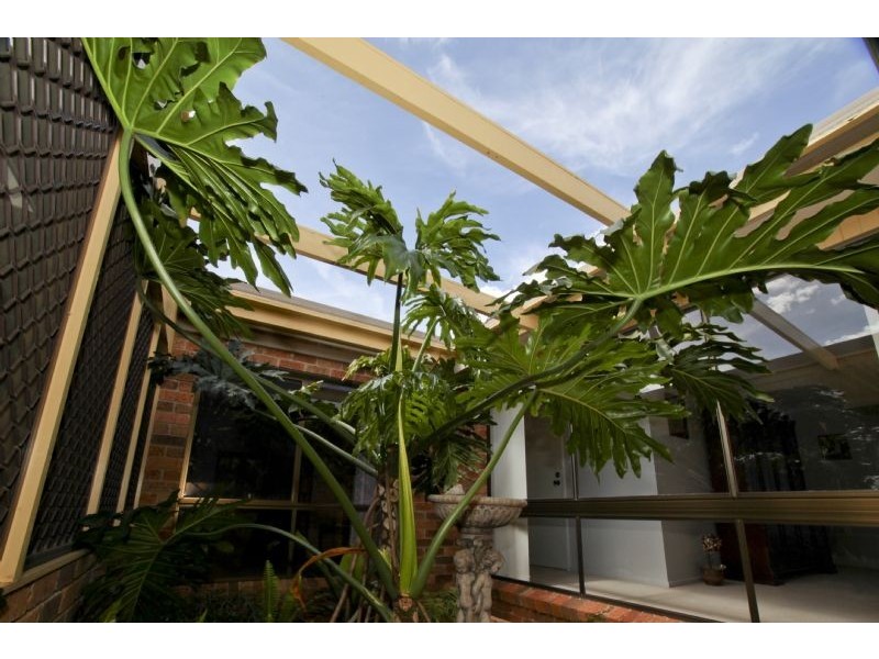 16  Gorton Street, Yoogali NSW 2680
