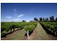 Farm 611A Bilbul Road, Beelbangera NSW 2680
