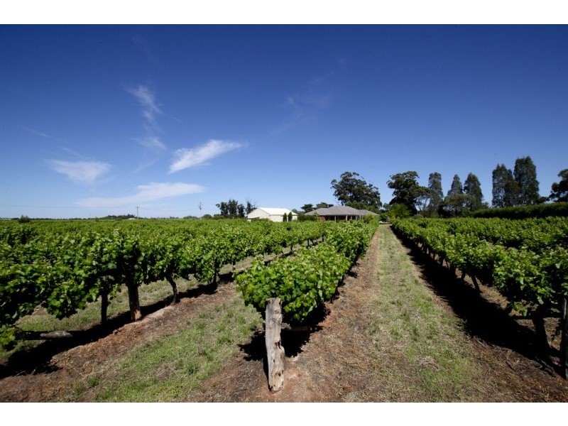Farm 611A Bilbul Road, Beelbangera NSW 2680