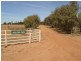 Farm 3 Coghlan Road, Widgelli NSW 2680