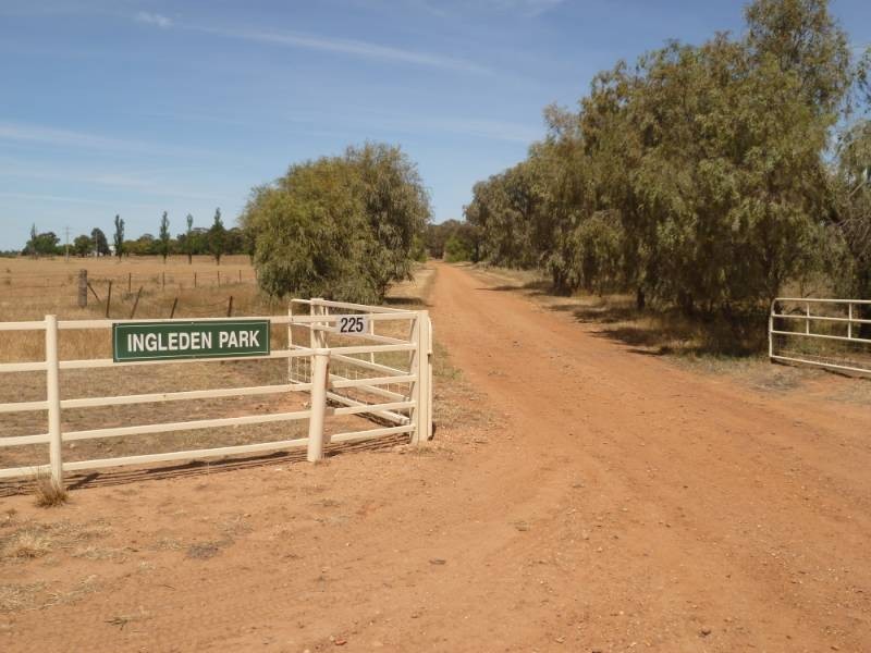 Farm 3 Coghlan Road, Widgelli NSW 2680