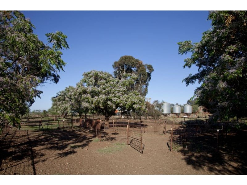 Farm 3 Coghlan Road, Widgelli NSW 2680