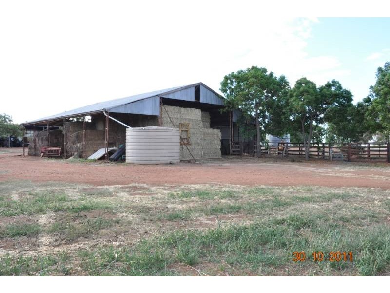 Farm 3 Coghlan Road, Widgelli NSW 2680