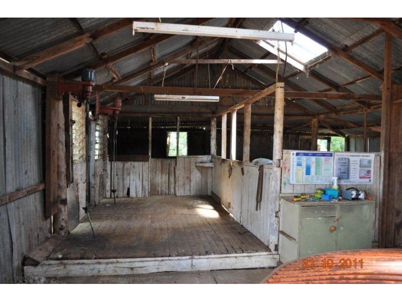 Farm 3 Coghlan Road, Widgelli NSW 2680