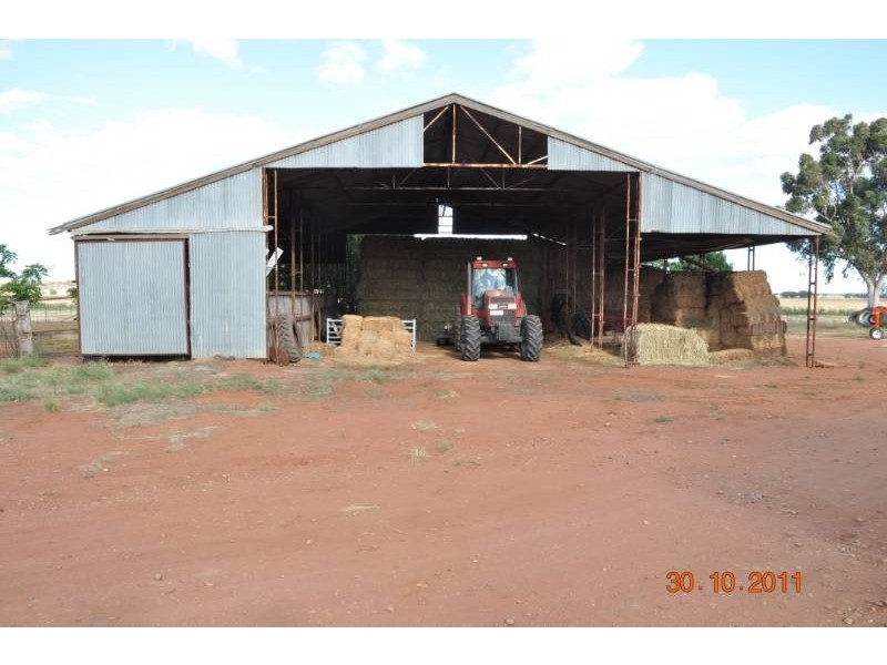 Farm 3 Coghlan Road, Widgelli NSW 2680