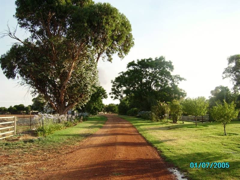 Farm 3 Coghlan Road, Widgelli NSW 2680