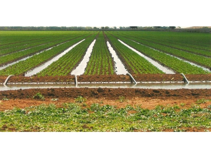 Farm 3 Coghlan Road, Widgelli NSW 2680