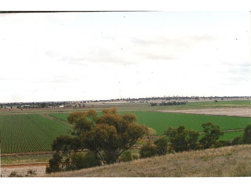 Farm 3 Coghlan Road, Widgelli NSW 2680