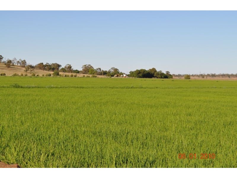 Farm 3 Coghlan Road, Widgelli NSW 2680