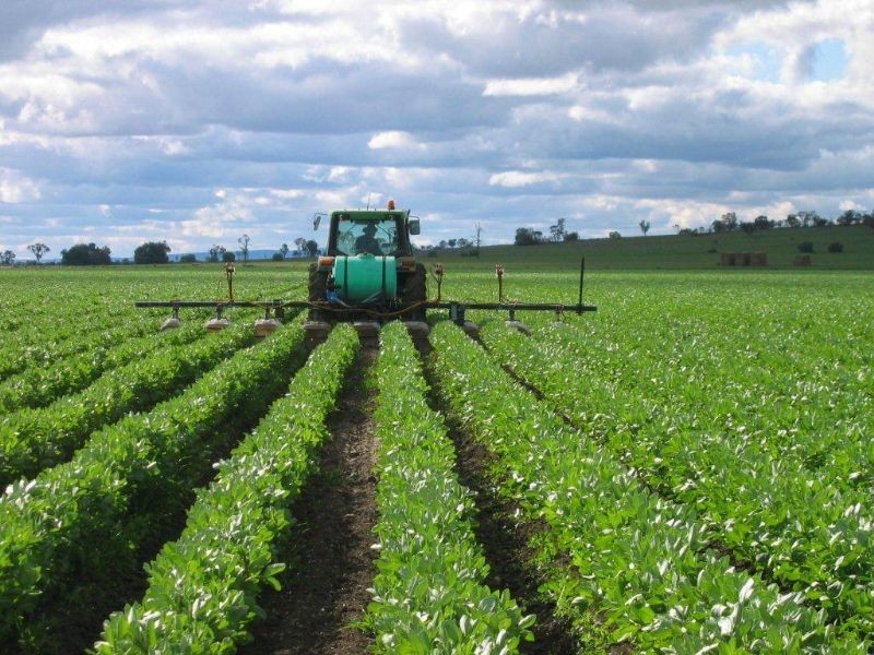 Farm 3 Coghlan Road, Widgelli NSW 2680