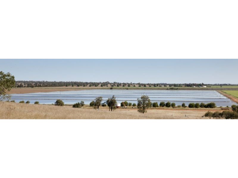 Farm 3 Coghlan Road, Widgelli NSW 2680