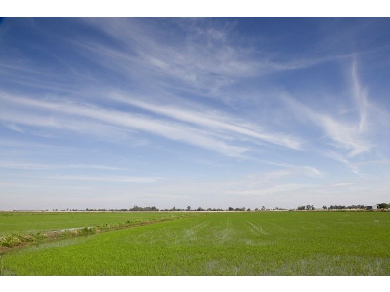 Farm 1072 Keely Road, Kooba NSW 2680