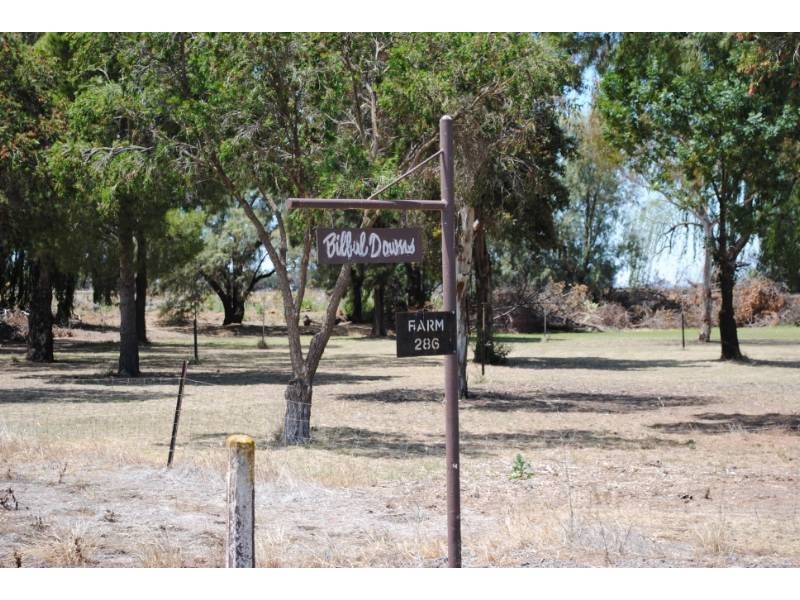 Part Farm 286 Hamilton Road, Bilbul NSW 2680