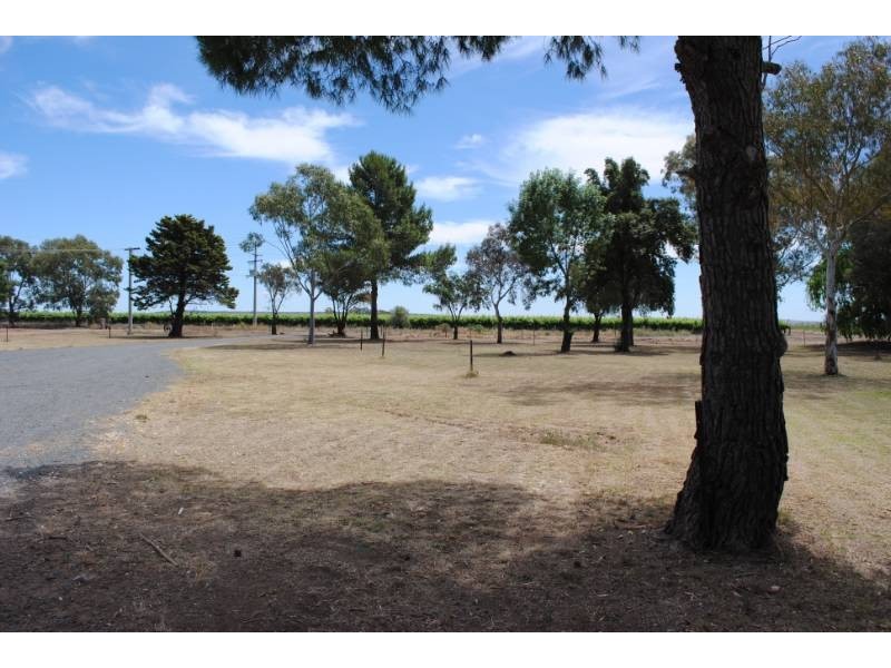 Pt Farm 286 Hamilton Road, Bilbul NSW 2680