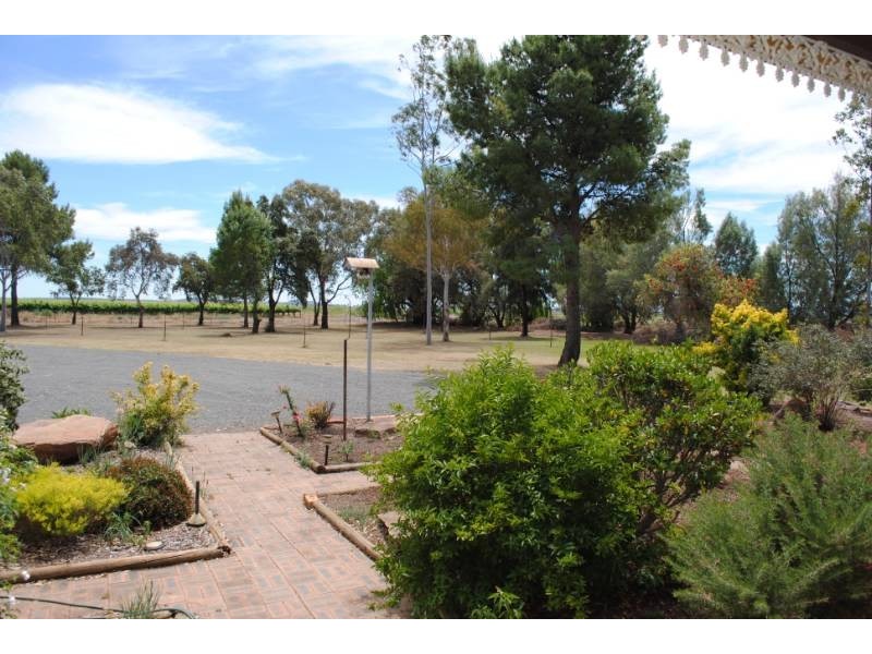 Pt Farm 286 Hamilton Road, Bilbul NSW 2680