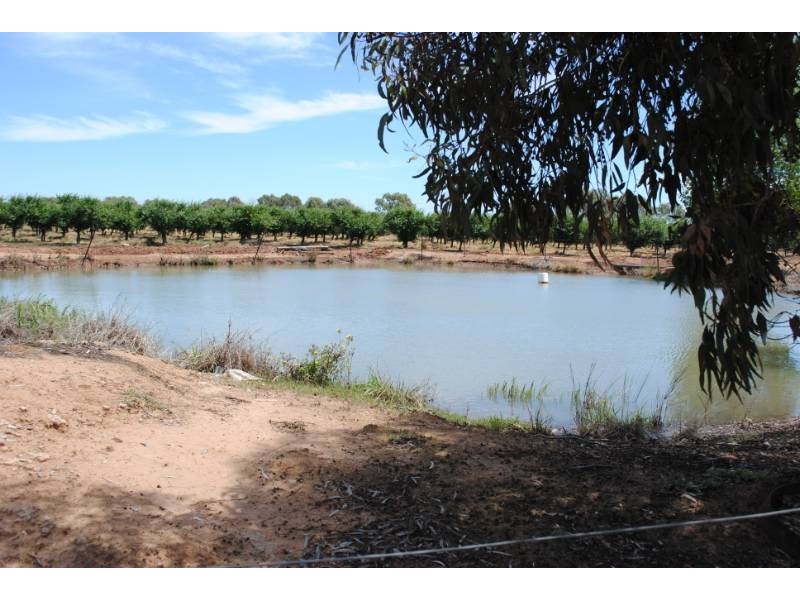 Pt Farm 286 Hamilton Road, Bilbul NSW 2680