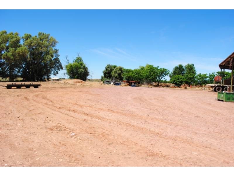 Pt Farm 286 Hamilton Road, Bilbul NSW 2680