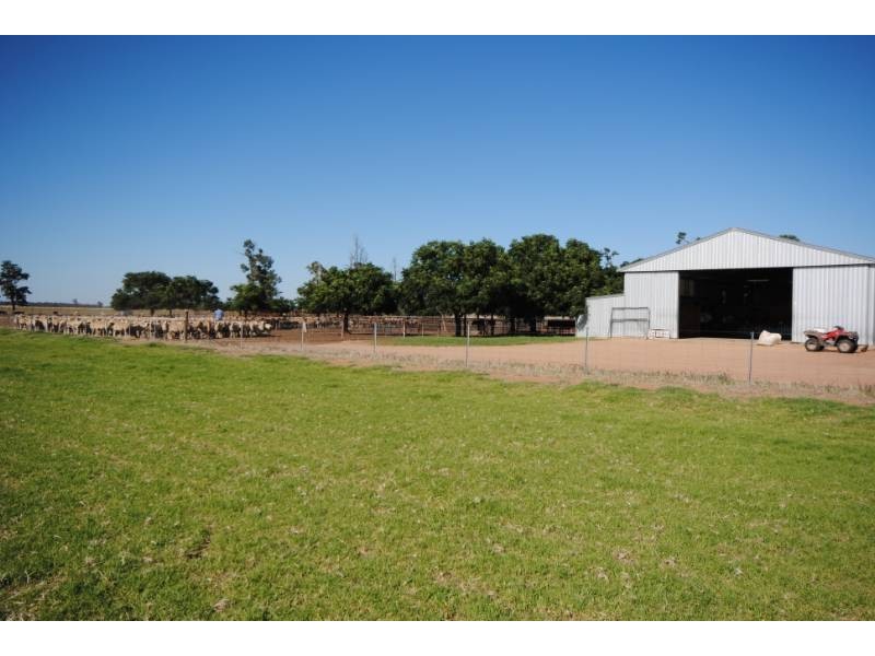 “Koonwarra” Sturt Highway, Darlington Point NSW 2706