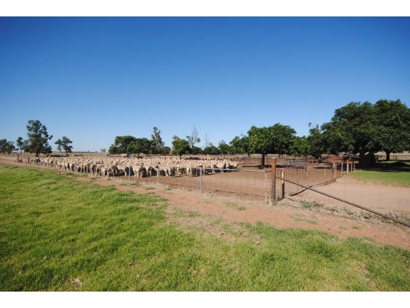 “Koonwarra” Sturt Highway, Darlington Point NSW 2706